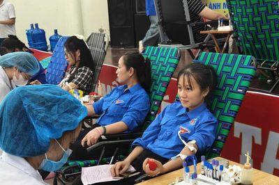 Sôi nổi ngày hội hiến máu Chủ Nhật Đỏ tại Ninh Bình