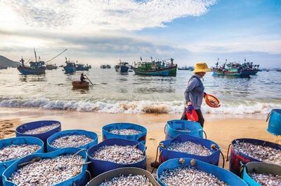 Người giữ 'giọt nồng' làng biển