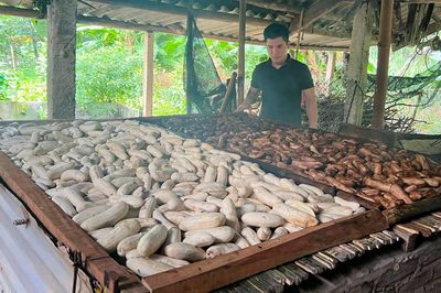 Đặc sản Tuyên Quang làm từ chuối gác bếp, vị ngọt thơm, để vài ngày vẫn mềm dẻo
