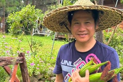 Ca sĩ Trọng Tấn khoe cây trái đặc biệt ở nhà vườn 4.000m2