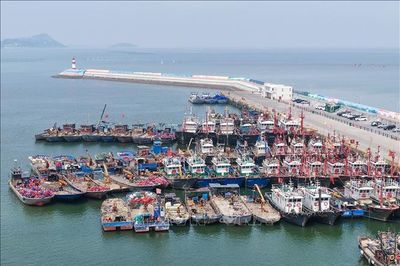 Trung Quốc căng mình phòng chống bão Bavi