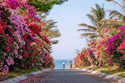 Quy Nhơn hút khách với Lễ hội ngàn hoa ngay sau Đại nhạc hội pháo hoa