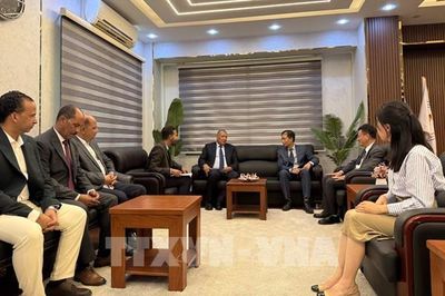 Tăng cường kết nối kinh tế giữa các địa phương Việt Nam và tỉnh Biển Đỏ của Ai Cập