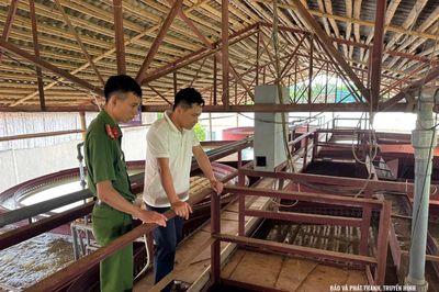 Siết chặt quản lý môi trường các cơ sở lâm sản ở xã Hồi Xuân