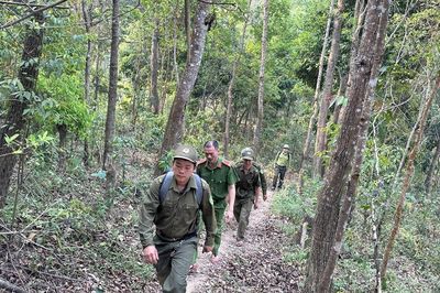 Giữ màu xanh những cánh rừng giáp ranh