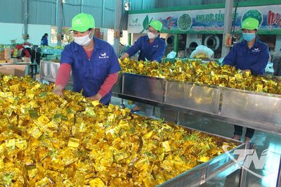 Xây dựng hạt nhân chính trị trong hợp tác xã