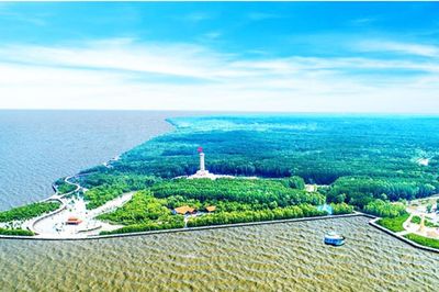 Cà Mau khơi thông dư địa phát triển sau một năm hợp nhất