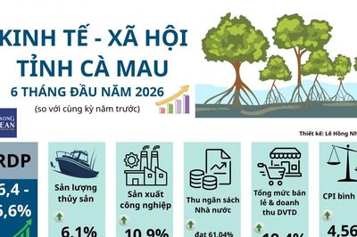 Các chỉ số kinh tế nổi bật của Cà Mau nửa đầu năm 2026