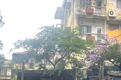 Những mùa bình thường ở khu tập thể cũ