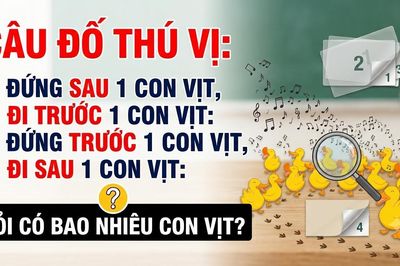 Câu đố '2 con vịt đi trước 2 con vịt' khiến 99,9% người chơi bó tay