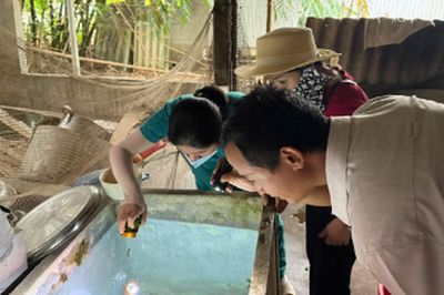 Sốt xuất huyết tại Huế tăng, ngành y tế cảnh báo bước vào cao điểm dịch