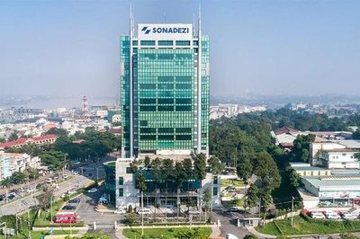 Tổng giám đốc Sonadezi Giang Điền xin từ nhiệm