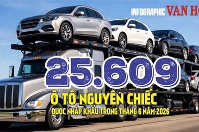 Việt Nam nhập khẩu 25.609 ô tô trong tháng 6, Indonesia dẫn đầu nguồn cung