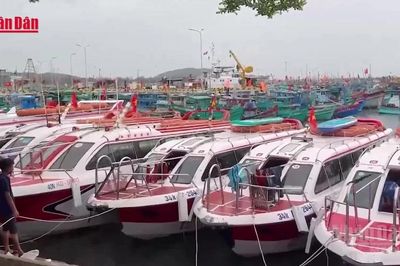 [Video] Hàng loạt ca nô và tàu du lịch tại Phú Quốc tạm dừng hoạt động
