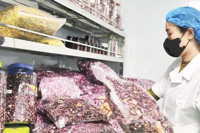 Nông sản đáp ứng tốt hơn nhu cầu thị trường