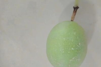 Hai chị em ruột bị ngộ độc khi ăn chanh dây chưa chín