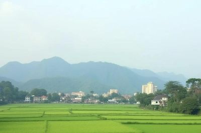 Vì sao Hà Nội chọn Phúc Thịnh, Thư Lâm thí điểm xã, phường xã hội chủ nghĩa?