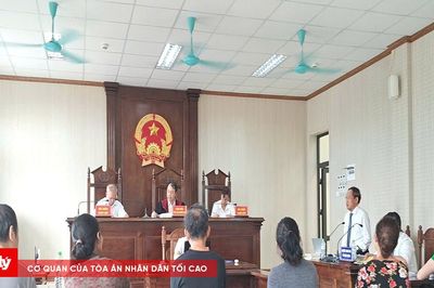 Vì sao Tòa công nhận hiệu lực hai giấy chuyển nhượng đất?