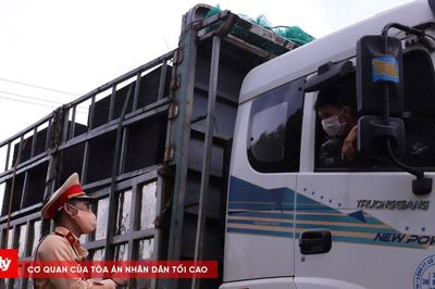Điểm mù xe tải: Mối nguy vô hình trên mọi cung đường