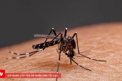 Sốt xuất huyết Hà Nội tăng, thêm 6 ổ dịch mới