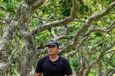 Vườn nhãn hơn 300 gốc cổ thụ ở Cần Thơ có dáng uốn lượn như rồng hút khách