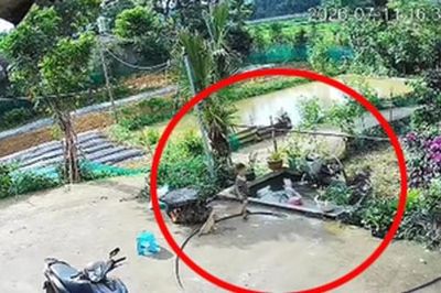 Bé trai 4 tuổi ở Tuyên Quang hô hoán, cứu em gái 2 tuổi thoát khỏi đuối nước