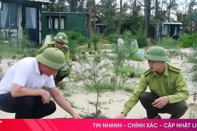 Gian nan phủ xanh lại những cánh rừng phòng hộ ven biển