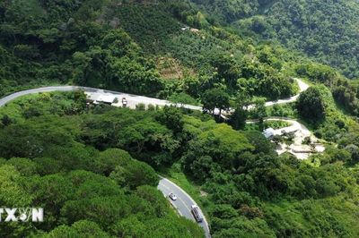Vẻ đẹp hùng vĩ của đèo Ngoạn Mục ở Lâm Đồng