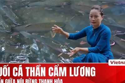 Suối cá thần Cẩm Lương: Nơi gìn giữ hài hòa giữa thiên nhiên và văn hóa bản địa