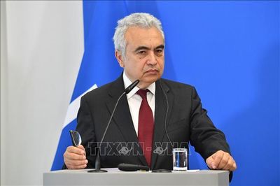 IEA: Chậm điện khí hóa - 'Gót chân Achilles' của châu Âu