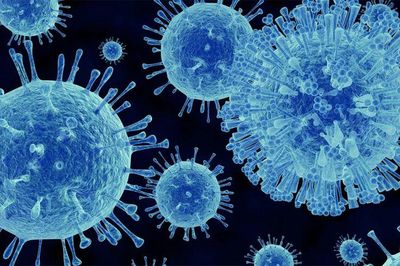 Bồ Đào Nha ghi nhận ổ dịch norovirus, ảnh hưởng hơn 120 người