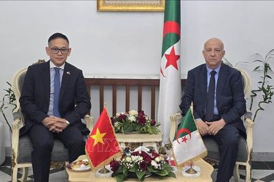 Quyết tâm làm sâu sắc hơn quan hệ hữu nghị Việt Nam - Algeria