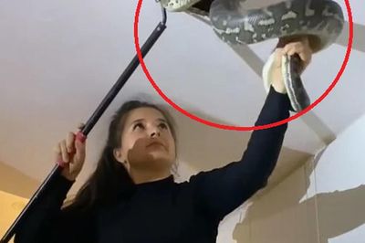 Nhìn lên trần nhà, cô gái phát hiện cảnh tượng 'nổi da gà'