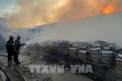 TP. Hồ Chí Minh cảnh báo nguy cơ hỏa hoạn do thời tiết cực đoan