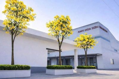 Sắp chào sàn HoSE, Á Mỹ có gì đáng chú ý?