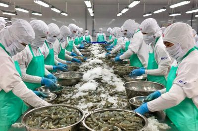 Xuất khẩu thủy sản Việt Nam trước cơ hội mới từ FTA Việt Nam - EFTA