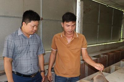Nông dân Phú Thuận vươn lên làm giàu