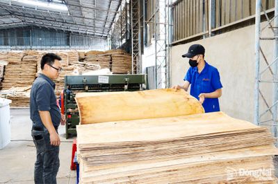 Góp sức xây dựng nền kinh tế tự lực, tự cường