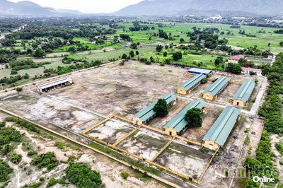 Đất bỏ hoang giữa vùng 'khát đất' sản xuất