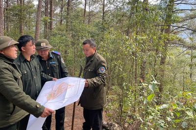 Chi trả dịch vụ môi trường rừng: Gỡ 'điểm nghẽn' để dòng tiền đến người giữ rừng