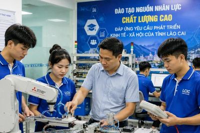 Lào Cai đặt mục tiêu thu hút khoảng 400 nhân lực chất lượng cao đến năm 2030