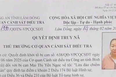 Công an Tánh Linh bắt giữ đối tượng truy nã về hành vi lừa đảo chiếm đoạt tài sản