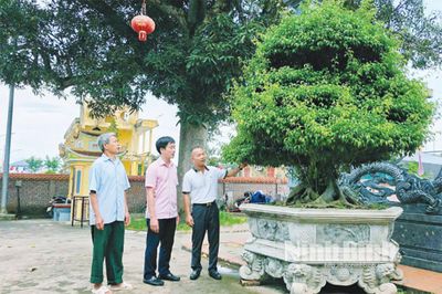 Vị Khê tăng cường công tác tuyên giáo, tạo đồng thuận xã hội