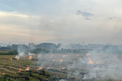 Định hình lại giá trị của rơm rạ