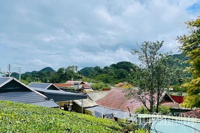 Ước mơ ở lưng chừng núi