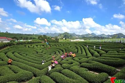 Tăng cường kiểm soát an toàn thực phẩm tại Khu du lịch quốc gia Mộc Châu