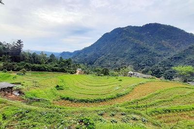 Tào Lường – nguyên mẫu làm nên trang viết của Tô Hoài