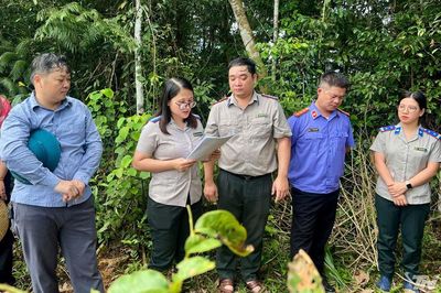 Thái Nguyên: Thi hành xong trên 6.200 việc có điều kiện