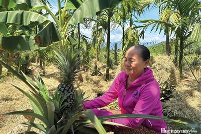 'Có sức người, sỏi đá cũng thành cơm...'