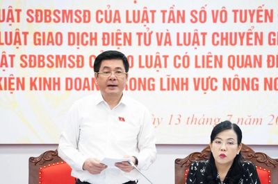 Quán triệt nguyên tắc: đúng phạm vi, đúng mục tiêu, đúng tính chất của 'một luật sửa nhiều luật'
